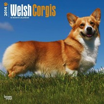 Welsh Corgis 2014 Calendar, 18-Month Calendar (Multilingual Edition) - £6.99 GBP