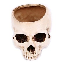 Antique Halloween Decor Resin Skull Shaped Head Design Flower Pot Planter Contai - £20.35 GBP