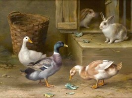 Wall Art Decor Ducks And Rabbits Painting Picture Printed Canvas Giclee - £6.86 GBP+