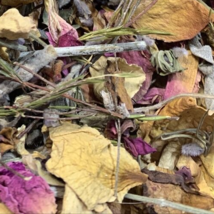 Organic Potpourri Dried Sage, Rosemary, Lavender, Rose Petals crafts Decor - £12.85 GBP