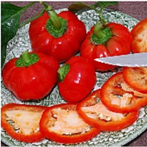 USA SELLER Red Cheese Sweet Peppers Seeds Fast Shipping - £7.48 GBP