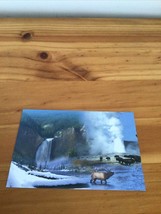 Yellowstone National Park Established in 1872 NEW Post Card 6x4 - £4.69 GBP