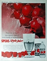 Speas Apple Juice, Print Ad. 60&#39;s full page color Illustration, 10 1/2&quot; x 13 ... - £13.43 GBP