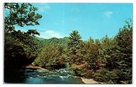 Oconaluftee River Cherokee North Carolina Unused Postcard - £41.43 GBP