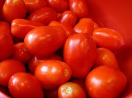 Roma Italian Tomato Seeds, Heirloom, NON-GMO, Variety Sizes, FREE SHIPPING - $1.67+