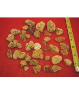 (k-4028) 100 g Rare Kauri tree Gum chips copal Amber New Zealand Tane Ma... - $40.79