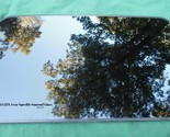 2006 INFINITI G35 G35X OEM FACTORY YEAR SPECIFIC SEDAN SUNROOF GLASS FRE... - $195.00