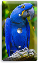 Tropical Blue Macaw Bird Parrot Light Dimmer Cable Plate Cover Room Home Decor - £8.09 GBP