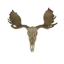 Large Lifelike Bull Moose Skull Hanging Wildlife Decor Statue - £63.65 GBP