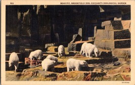 Vtg Postcard Bear Pit, Brookfield Zoo, Chicago&#39;s Zoological Gardens, Unposted - £4.65 GBP