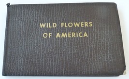Wild Birds America Harvey vintage pocket book field guide 1932 Lawson artist - £15.01 GBP