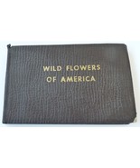 Wild Birds America Harvey vintage pocket book field guide 1932 Lawson ar... - £14.94 GBP