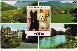 United Kingdom UK Postcard Scotland Crieff Multi View Scottie Dogs - £1.72 GBP