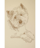 West Highland White Terrier Dog Art Print #73 Kline adds dogs name free.... - £39.27 GBP