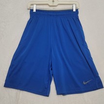 Nike Shorts Mens S Small Blue Outdoors Athletic Lightweight Gym - £14.10 GBP