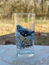 Vintage Blue Warbler Glass Tumbler Old Ann Page Peanut Bird Series FREE ... - $23.36