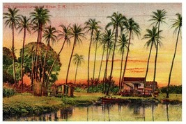 Coconut Grove and Mirage Territory of Hawaii TH Vintage Postcard - £12.81 GBP