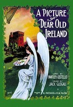 A Picture of Dear Old Ireland 20 x 30 Poster - £20.38 GBP