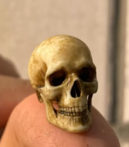 full body model of skull skeleton, miniature scene decoration - £20.04 GBP