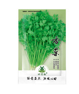 SL 1100Pcs Cilantro/Coriander Leaves Chinese Parsley Mexican Parsley - €2,40 EUR