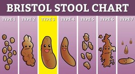 Vinyl Sticker 25x14cm laptop wall medical Bristol stool chart humour poop poo - £5.38 GBP