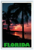 Sunset Water Palm Trees FL Postcard - $5.95