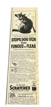 Scratchex Flea Powder for Dogs Print Ad 1958 Vintage Dr Merrick Retro Vet - £7.80 GBP