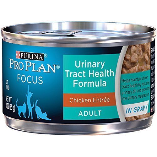 Purina Pro Plan Wet Cat Food, Focus, Adult Urinary Tract Health Formula Chicken - $20.62