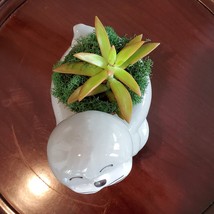 Seal Planter with Live Succulent, Stanley the Seal, Animal Planter Plant Pot image 4