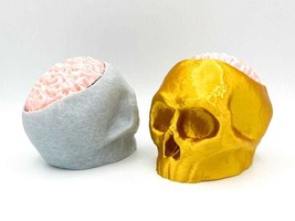 Skull with Removable Brain Lid Statue for Hiding Keys/candies - £10.38 GBP