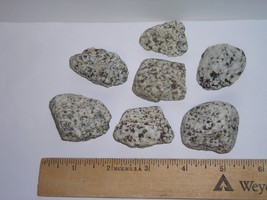 Dalmatian Stone--7 Rough Specimens--1/2 Pound! - $6.99