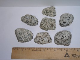 Dalmatian Stone--7 Rough Specimens--1/2 Pound! - £5.25 GBP