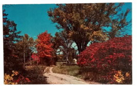 Autumn Foliage Dirt Road Concord New Hampshire NH Lusterchrome Postcard ... - £3.13 GBP