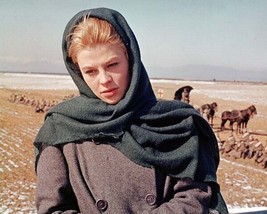 Julie Christie as Lara in rural setting 1965 Doctor Zhivago 16x20 poster - £19.33 GBP