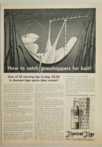 1958 Print Ad Ancient Age Kentucky Bourbon Whiskey Grasshopper Resting on a Leaf - £7.34 GBP