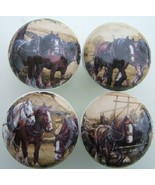 Ceramic Cabinet Knobs W/ Horse Clydesdale Draft #3 @PRETTY - €18,74 EUR