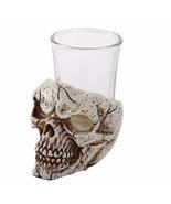 Pacific Giftware Skull Shot Glass 2oz - $13.36