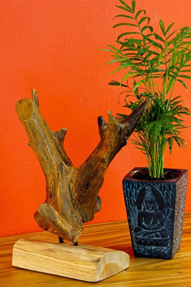 Teak Root Wood Sculpture Solid Wood Display Decoration Natural Product Design
