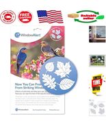 Leaf Medley UV-Reflective Decals - Bird Protection Stickers for Glass Wi... - $21.25 CAD