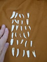 Item image 1 image 1