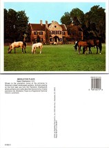 South Carolina Charleston Middleton Place Plantation Home Sheep VTG Postcard - £7.50 GBP