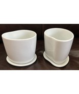 2 Starbucks Organic By Aida Cups With Lids Set Free Shipping Excellent - $19.78