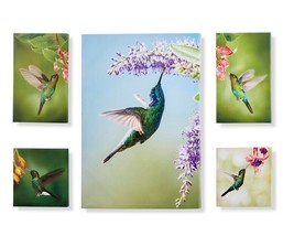 Hummingbird Wall Prints Set of 5 Stretched Canvas over Frame Multicolor
