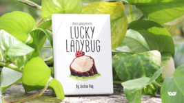Lucky Ladybug (Gimmicks &amp; Online Instructions) by Joshua Ray &amp; Deuce Gala Magic - £15.76 GBP