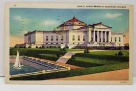 John G Shedd Memorial Aquarium Chicago Illinois Postcard A1 - £2.96 GBP