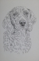 Plott Hound Dog Art Portrait Print #22 Kline adds dog name free. WORD DR... - $49.45
