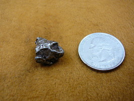 (x262-278) 7 g Campo del Cielo iron meteorite 1576 shrapnel fragment spe... - $18.99