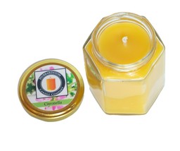 Citronella Scented 100 Percent Beeswax Jar Candle, 12 oz - £21.23 GBP