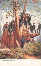 Raphael Tuck &amp; Sons Postcard A Monster Tree Stump J33 - £7.31 GBP