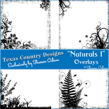 Digital Scrapbooking Naturals 1 Page Overlays - $4.00